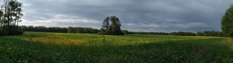 gravel extraction in puslinch