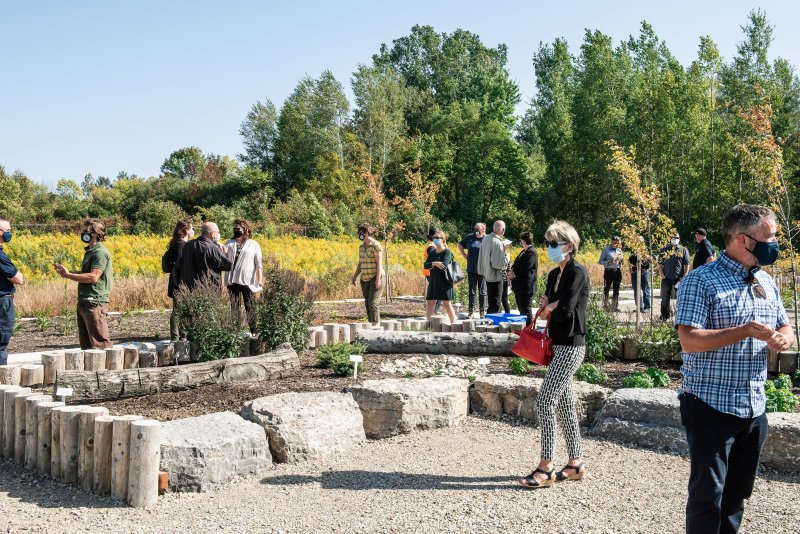 pollinator garden in aberfoyle